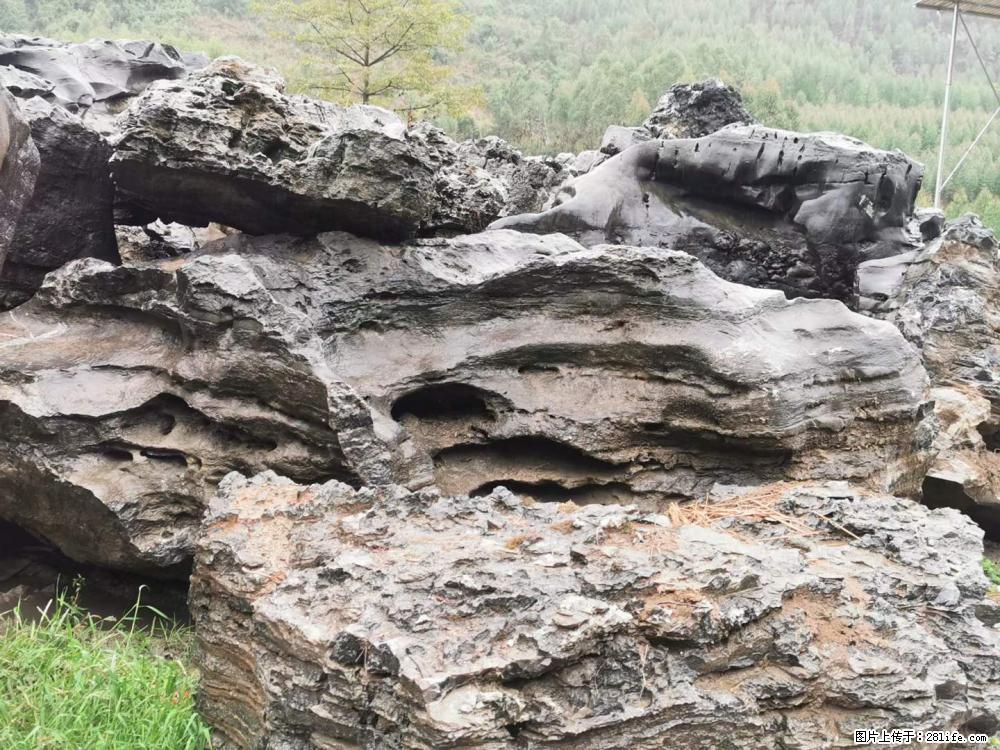 风景石、假山石大量有货，有需要的欢迎联系 - 新手上路 - 日喀则生活社区 - 日喀则28生活网 rkz.28life.net