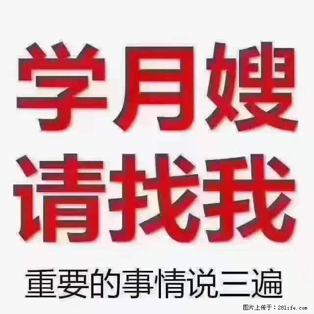为什么要学习月嫂，育婴师？ - 其他广告 - 广告专区 - 日喀则分类信息 - 日喀则28生活网 rkz.28life.net
