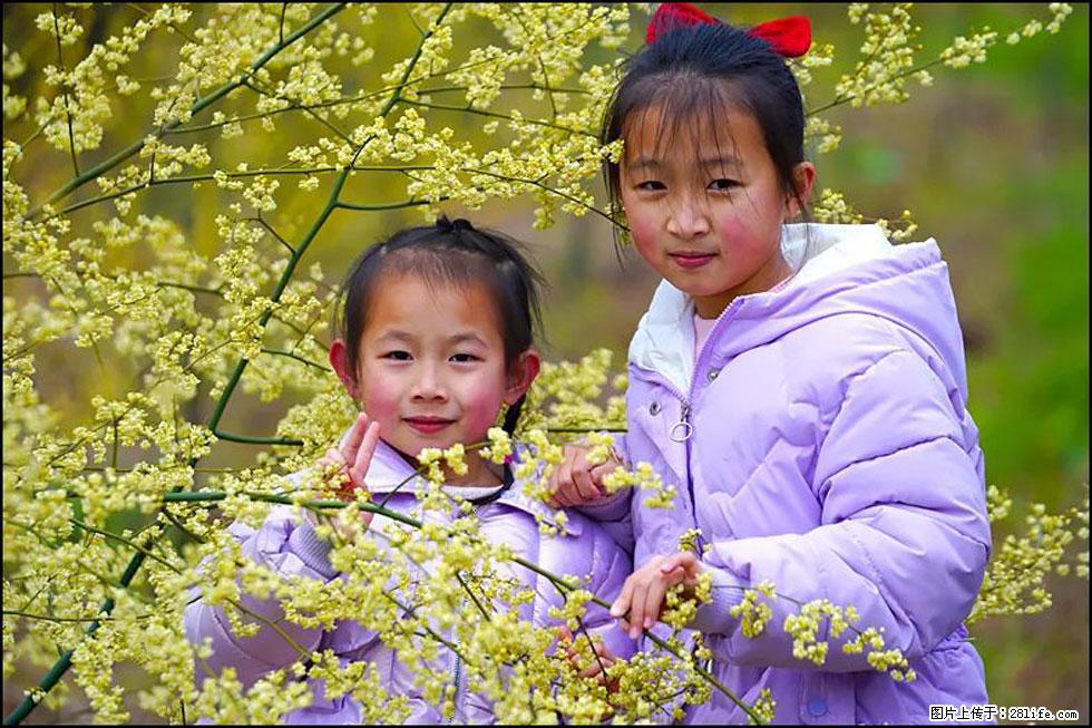 【春天，广西桂林灌阳县向您发出邀请！】米珠山前有片山苍子花在飘香 - 游山玩水 - 日喀则生活社区 - 日喀则28生活网 rkz.28life.net