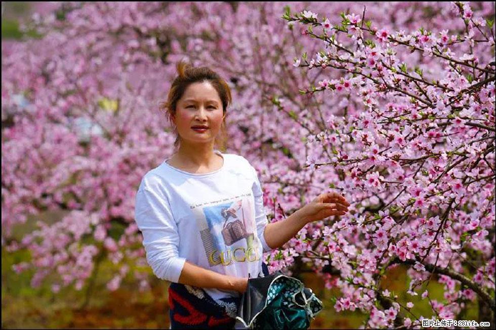 【春天，广西桂林灌阳县向您发出邀请！】官庄村有个醉美的桃花园 - 游山玩水 - 日喀则生活社区 - 日喀则28生活网 rkz.28life.net