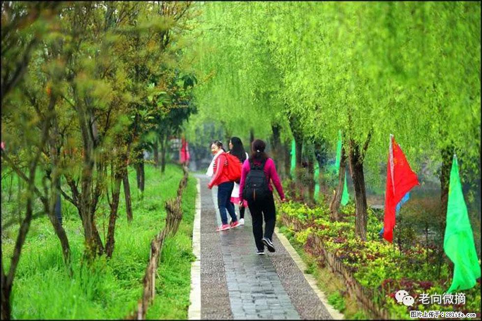 【春天，广西桂林灌阳县向您发出邀请！】江口老街又逢春 - 游山玩水 - 日喀则生活社区 - 日喀则28生活网 rkz.28life.net