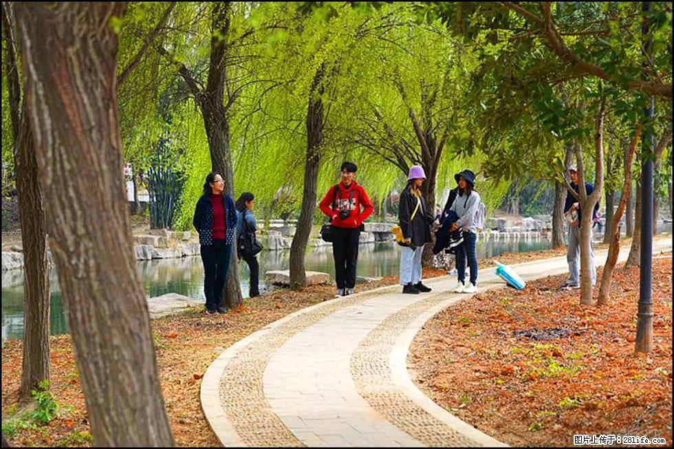 【春天，广西桂林灌阳县向您发出邀请！】江口老街又逢春 - 游山玩水 - 日喀则生活社区 - 日喀则28生活网 rkz.28life.net