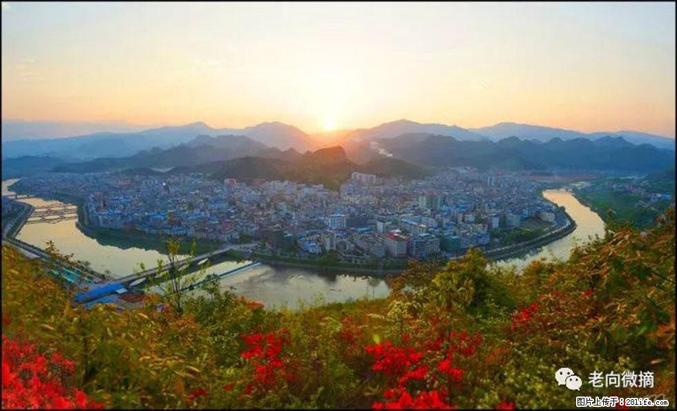 【春天，广西桂林灌阳县向您发出邀请！】登麒麟山，相约映山红 - 游山玩水 - 日喀则生活社区 - 日喀则28生活网 rkz.28life.net