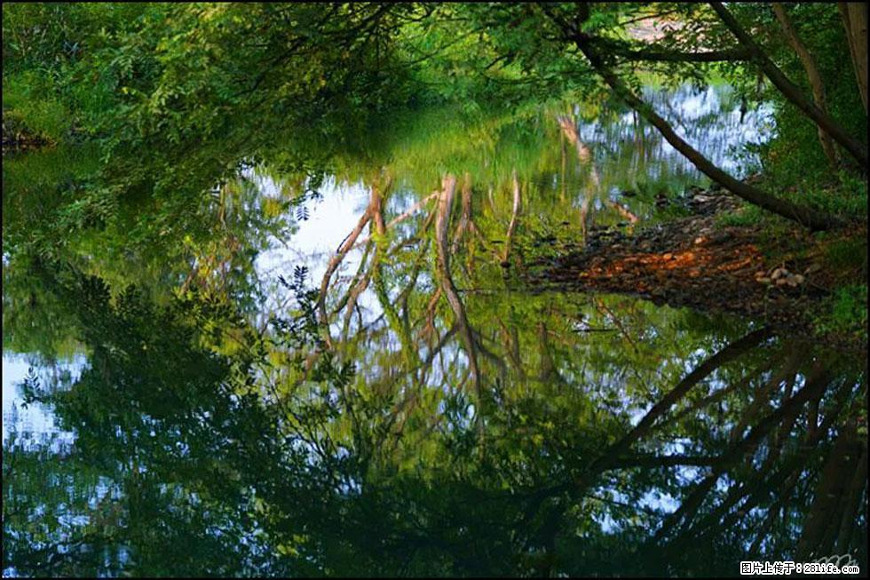【春天，广西桂林灌阳县向您发出邀请！】熊家寨湿地公园 - 游山玩水 - 日喀则生活社区 - 日喀则28生活网 rkz.28life.net