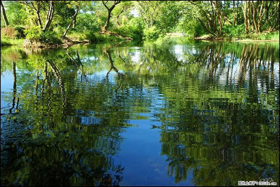 【春天，广西桂林灌阳县向您发出邀请！】熊家寨湿地公园 - 游山玩水 - 日喀则生活社区 - 日喀则28生活网 rkz.28life.net