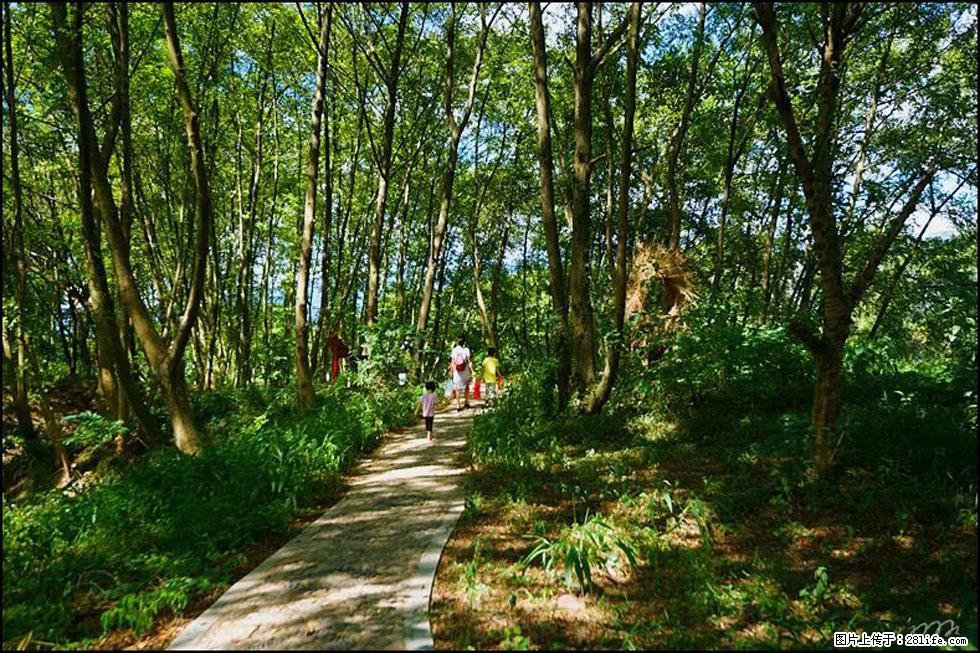 【春天，广西桂林灌阳县向您发出邀请！】熊家寨湿地公园 - 游山玩水 - 日喀则生活社区 - 日喀则28生活网 rkz.28life.net