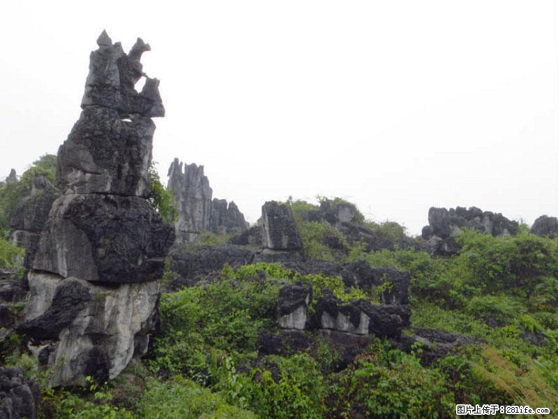 桂林旅游名城景点：灌阳文市石林 - 游山玩水 - 日喀则生活社区 - 日喀则28生活网 rkz.28life.net