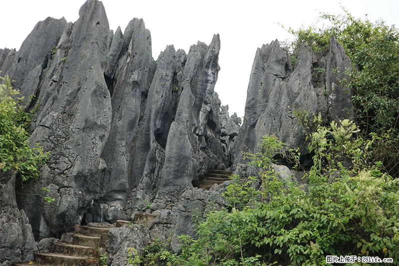 桂林旅游名城景点：灌阳文市石林 - 游山玩水 - 日喀则生活社区 - 日喀则28生活网 rkz.28life.net