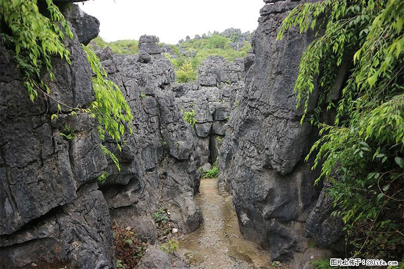 桂林旅游名城景点：灌阳文市石林 - 游山玩水 - 日喀则生活社区 - 日喀则28生活网 rkz.28life.net