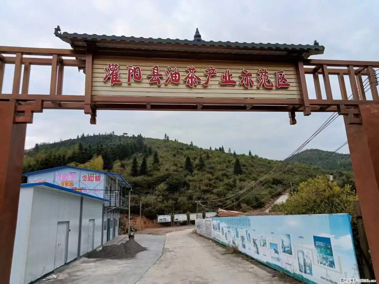 【灌阳县油茶产业示范区】一个有着充实的精神生活的人，对待身外之物自会有一种淡泊的态度 - 土特产 - 饮食特产 - 日喀则分类信息 - 日喀则28生活网 rkz.28life.net