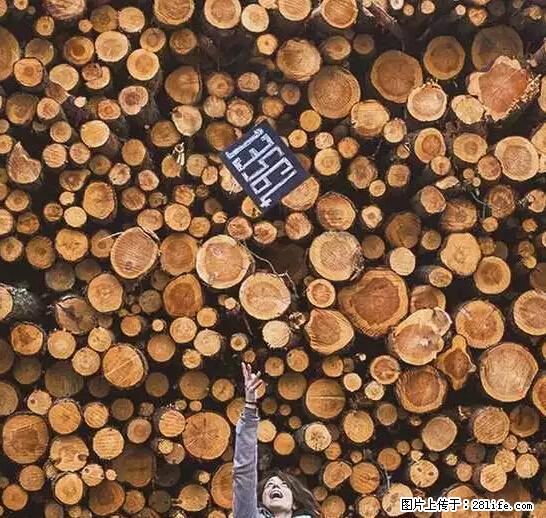 辞掉工作周游世界？现在他们在洗厕所…… - 游山玩水 - 日喀则生活社区 - 日喀则28生活网 rkz.28life.net