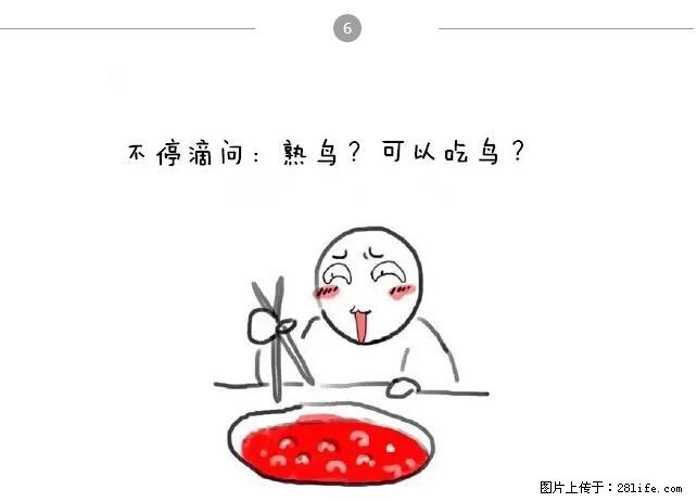 千万不要和这9种哈卵一起吃火锅！ - 美食天地 - 日喀则生活社区 - 日喀则28生活网 rkz.28life.net
