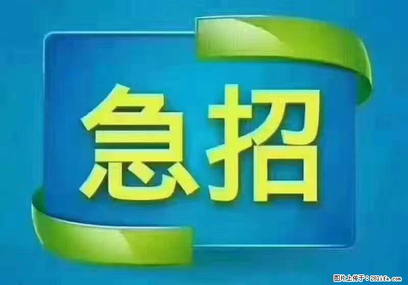 招出纳8000元/月，无证可以，要有相关经验，上海五险一金，包住，包工作餐，做六休一。 - 职场交流 - 日喀则生活社区 - 日喀则28生活网 rkz.28life.net