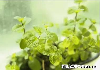 晕车、脚气、牙齿变黄、皮肤粗糙？学会这些三分钟搞定！ - 日喀则生活资讯 - 日喀则28生活网 rkz.28life.net