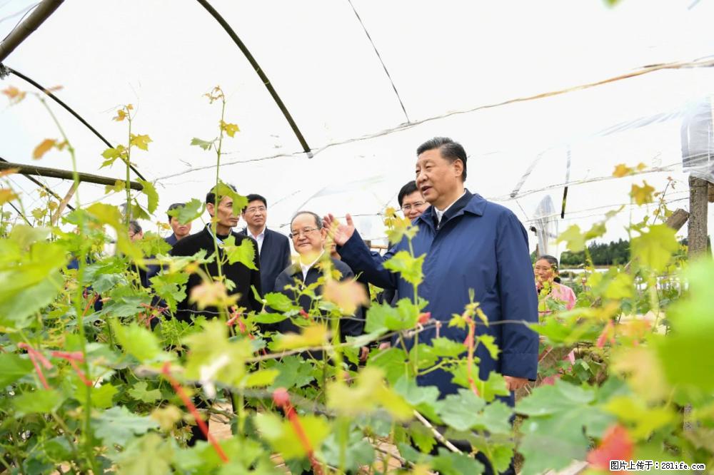 习近平赴广西考察调研 - 日喀则生活资讯 - 日喀则28生活网 rkz.28life.net