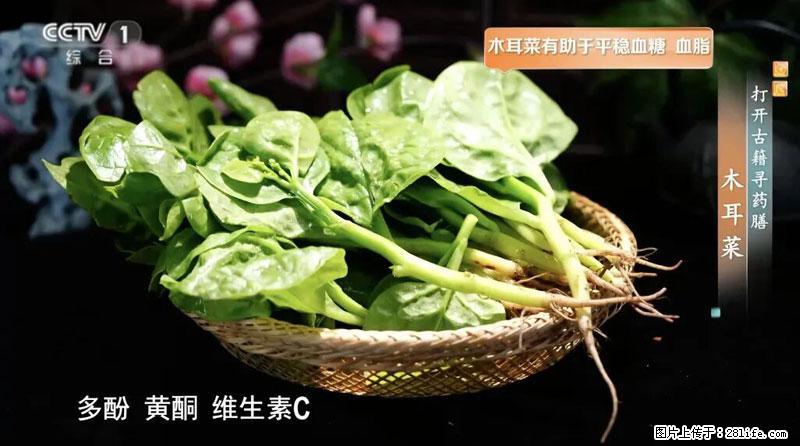 比牛奶补钙还厉害！凉血解毒、稳血糖...这菜冬天必吃，很多人却当草 - 日喀则生活资讯 - 日喀则28生活网 rkz.28life.net