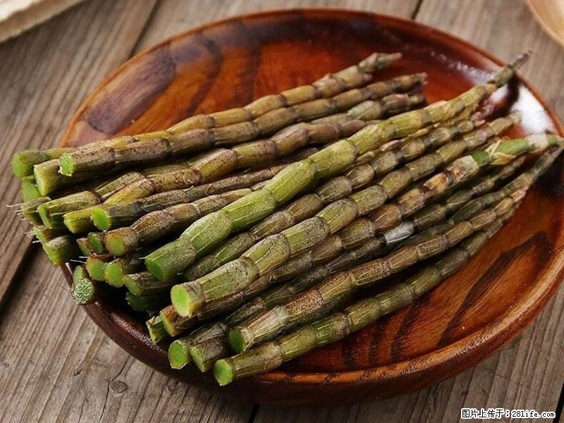 铁皮石斛的作用与功能主治 - 日喀则生活资讯 - 日喀则28生活网 rkz.28life.net